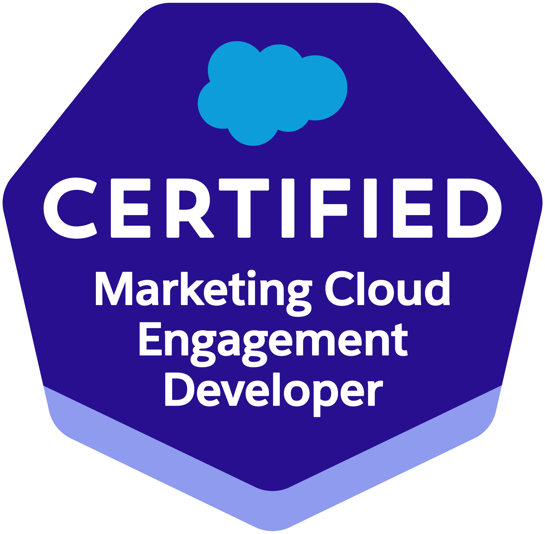 Salesforce Certified Marketing Cloud Engagement Developer